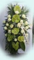 /album/vence-/a20180526-085944-1-jpg/